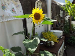 altes Handtuch Stickerei Sonnenblume
