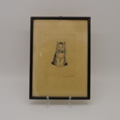 altes Katzenbild bzw. alte Radierung Katze Fifi von Meta Plückebaum